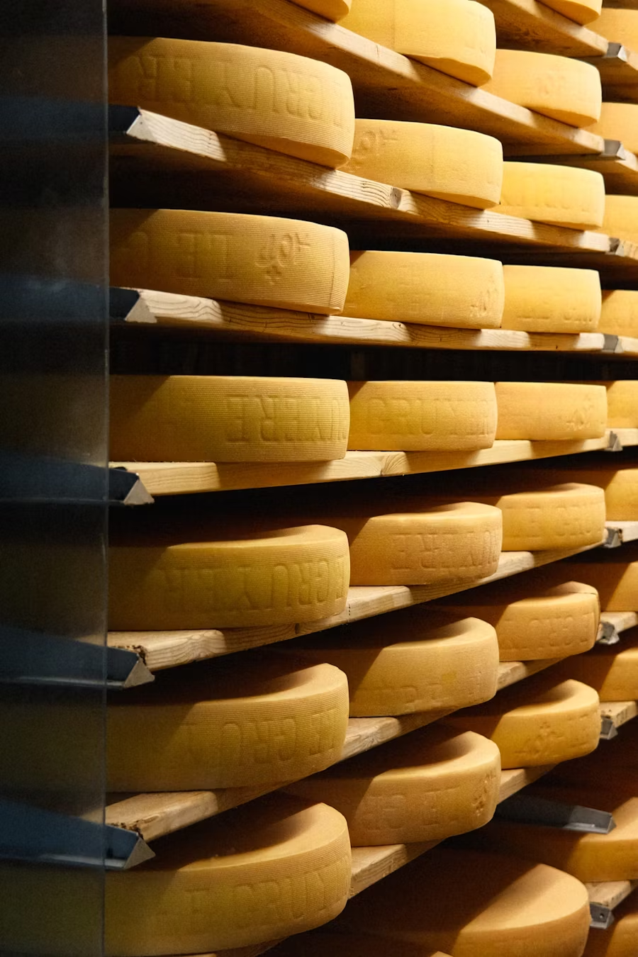 Artisanal cheese wheels aging on wooden shelves